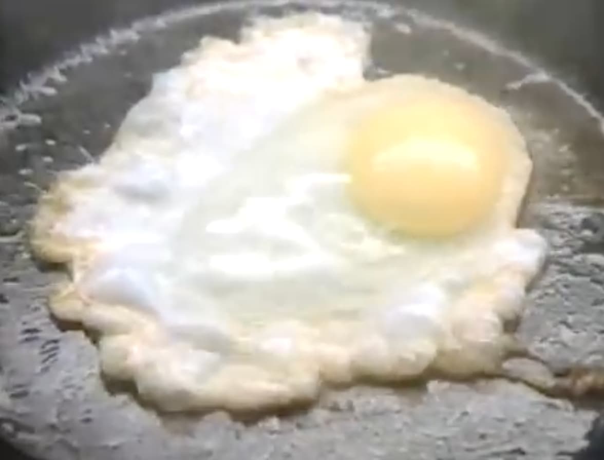 Four decades later, ‘80s kids are still frying eggs  … and their brains. 